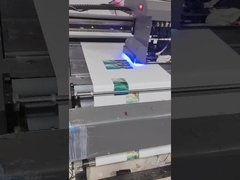 頑丈な工業印刷機 メーカー グレースケールUVプリンター