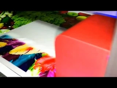 AC 110V/220V パワー UV LED プリンター 超高性能 調整可能